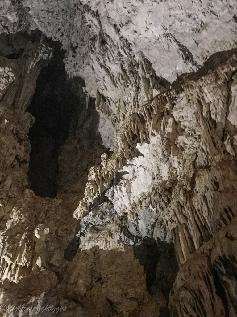 Structures on the ceiling of the sea caves